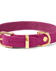 Butter Leather Dog Collar - Flamingo