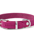 Butter Leather Dog Collar - Flamingo