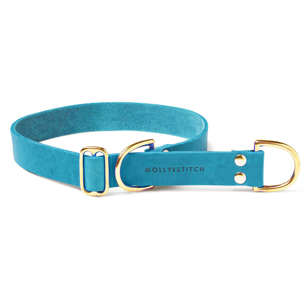 Butter Leather Retriever Hundehalsband - Fiji Blue