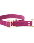 Butter Leather Retriever Dog Collar - Flamingo