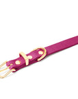Butter Leather Dog Collar - Flamingo