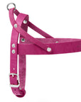 Butter Leder Hundegeschirr - Flamingo