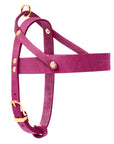 Butter Leder Hundegeschirr - Flamingo
