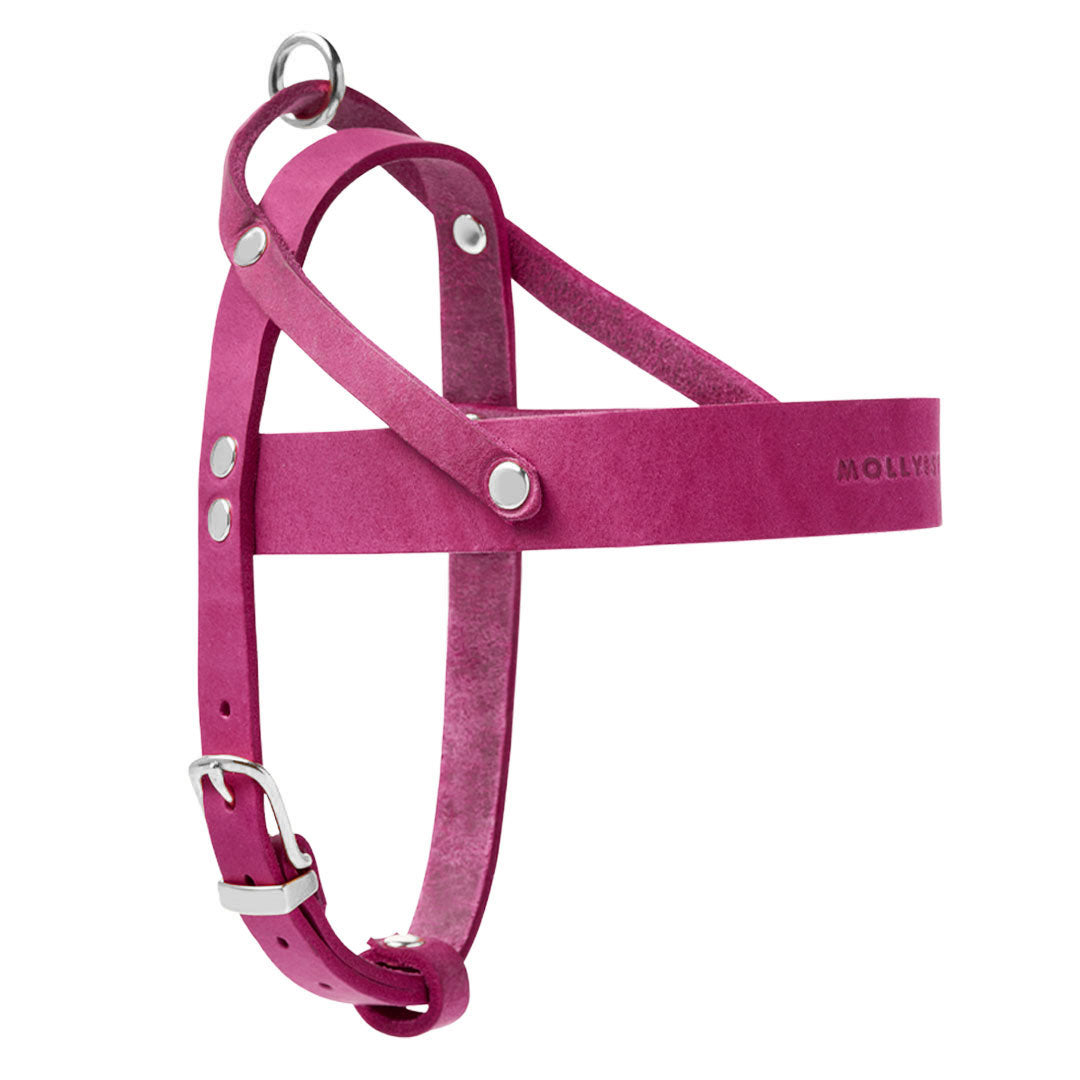 Butter Leder Hundegeschirr - Flamingo