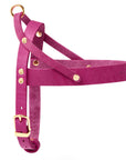 Butter Leder Hundegeschirr - Flamingo