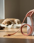 Butter Leather City Dog Leash - Coral Pink