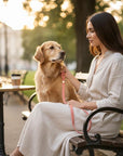 Butter Leather City Dog Leash - Coral Pink