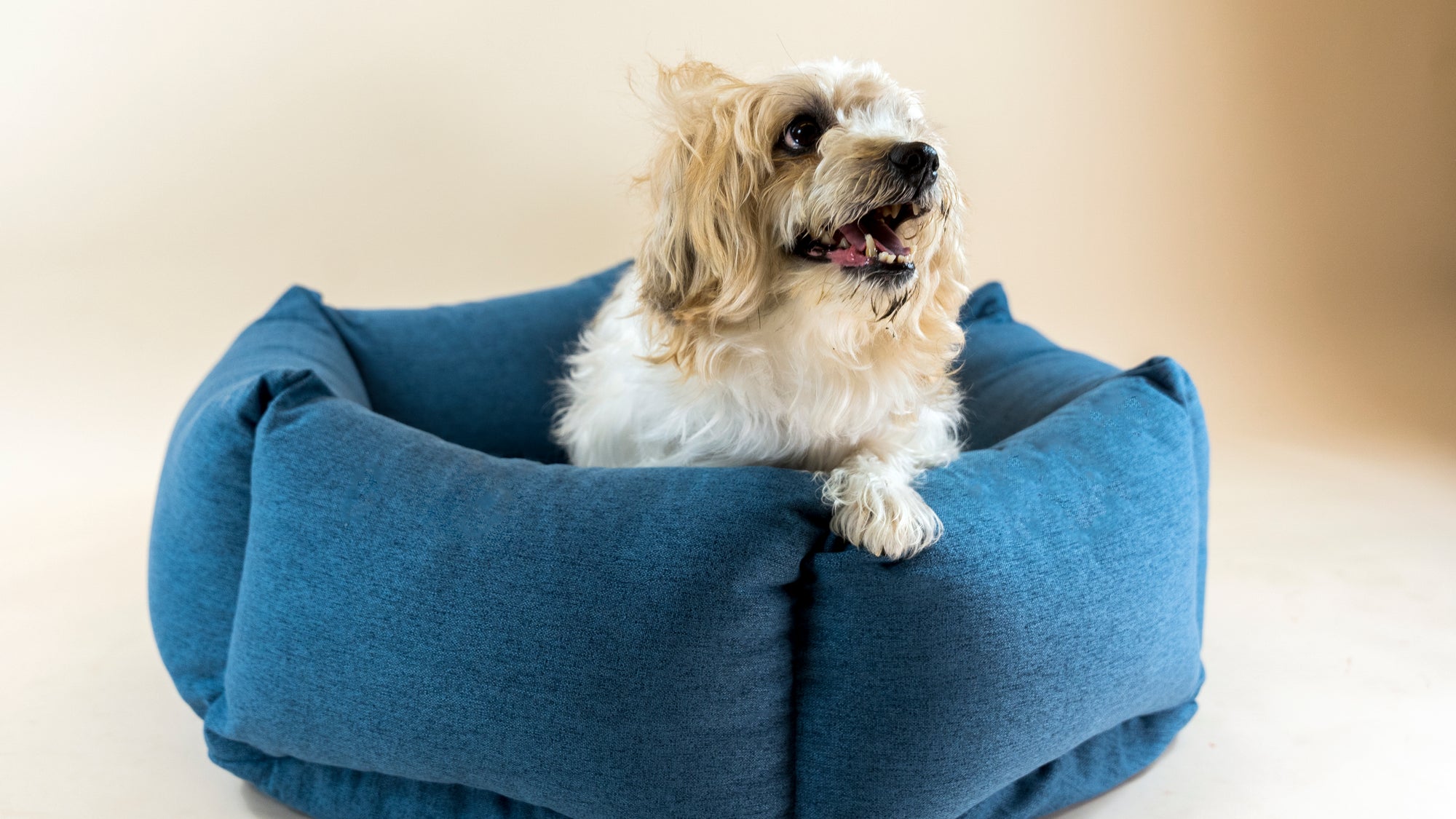 The Nest - Dog Bed Flamingo Pink