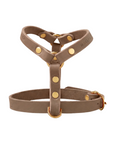 Butter Leder Y-Geschirr - Taupe