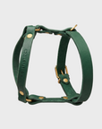 Butter Leather Y-Harness - Forest Green