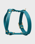 Butter Leder Y-Geschirr - Fiji Blau