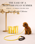 Touch of Leather Retriever Dog Leash - Mediterranean Sun (Limited Edition)