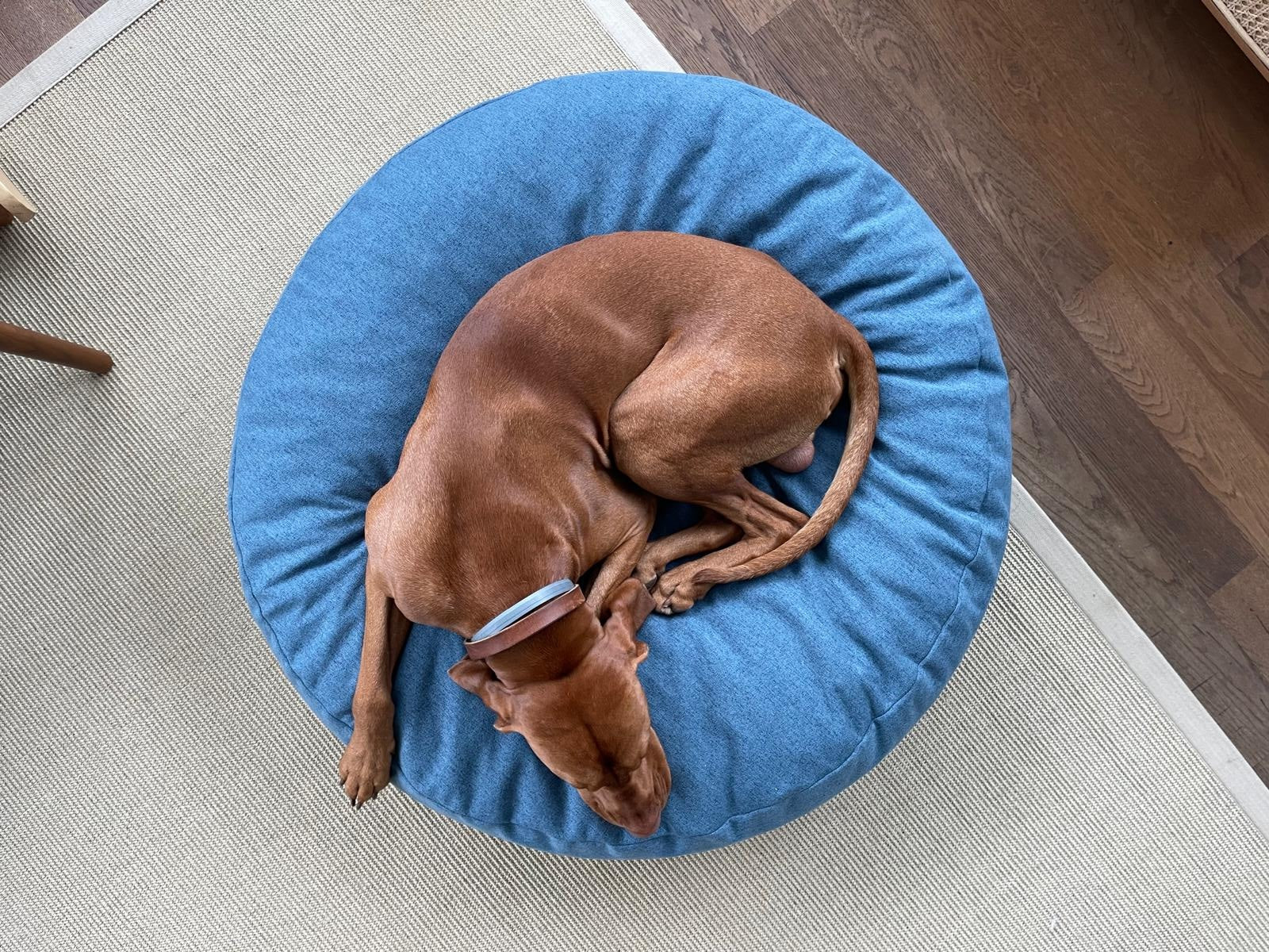 The Cloud - Dog Bed Pine Green