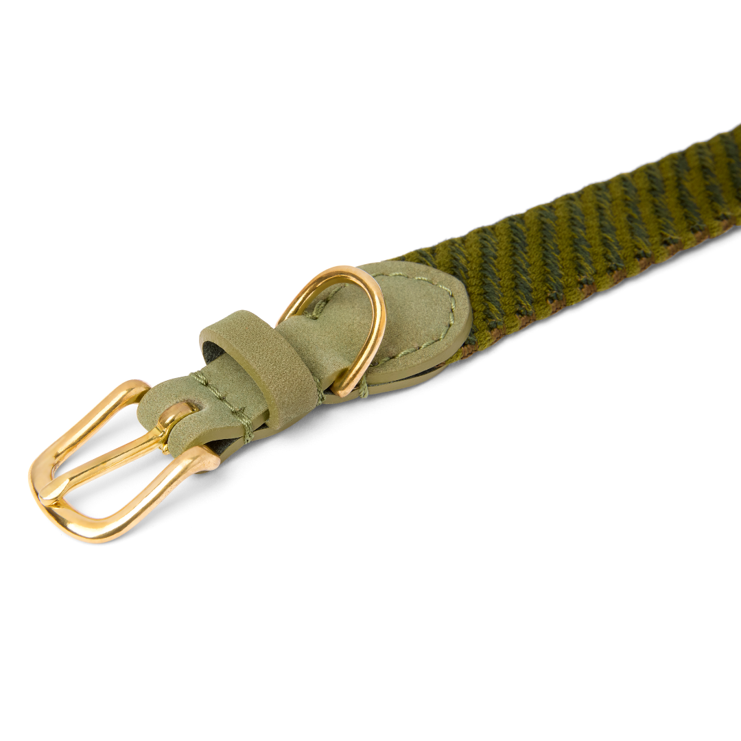 Serrana Dog Collar - Moss