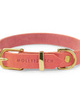 Butter Leather Dog Collar - Coral Pink