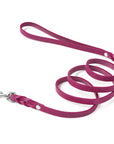 Butter Leather City Dog Leash - Flamingo