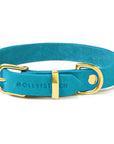Butter Leather Dog Collar - Fiji Blue