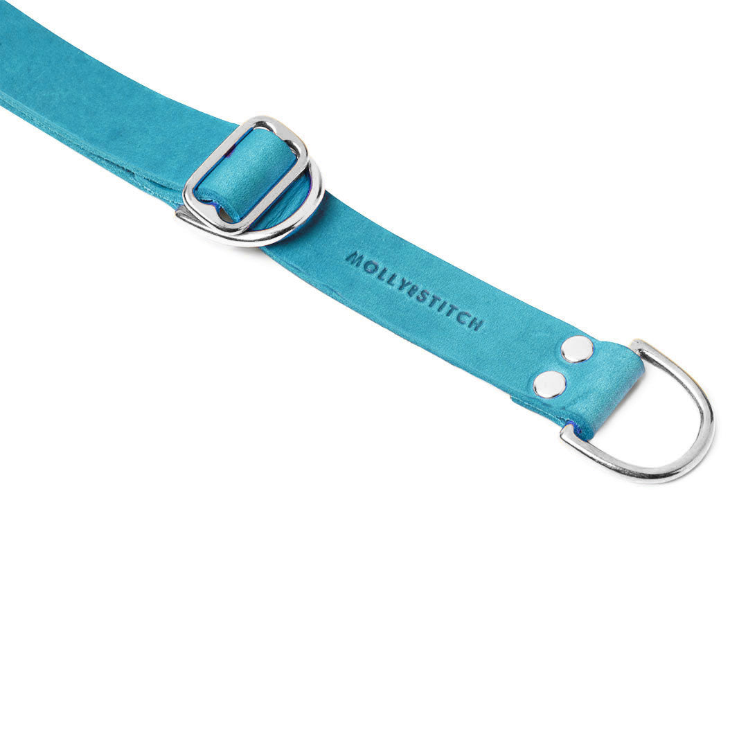 Butter Leather Retriever Hundehalsband - Fiji Blue