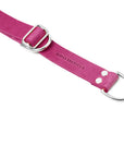 Butter Leather Retriever Dog Collar - Flamingo