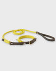 Touch of Leather Retriever Dog Leash - Mediterranean Sun (Limited Edition)