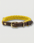 Touch of leather Hundehalsband - Mediterranean Sun (Limited Edition)