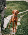 Maritime Dog Leash - Military - Molly and Stitch GmbH