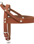 Butter Leather Dog Harness - Sahara Cognac
