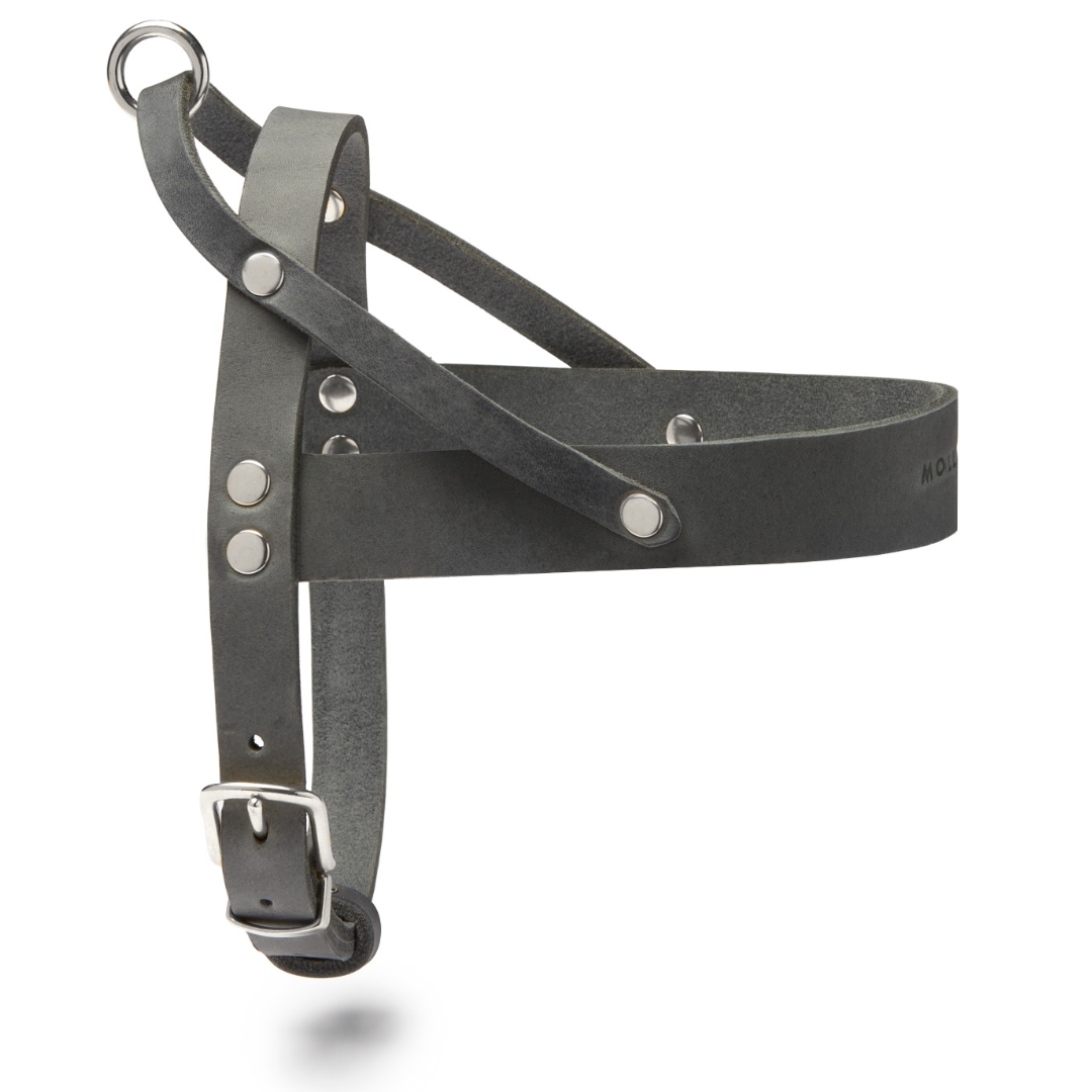 Butter Leder Hundegeschirr - Zeitlos Grau