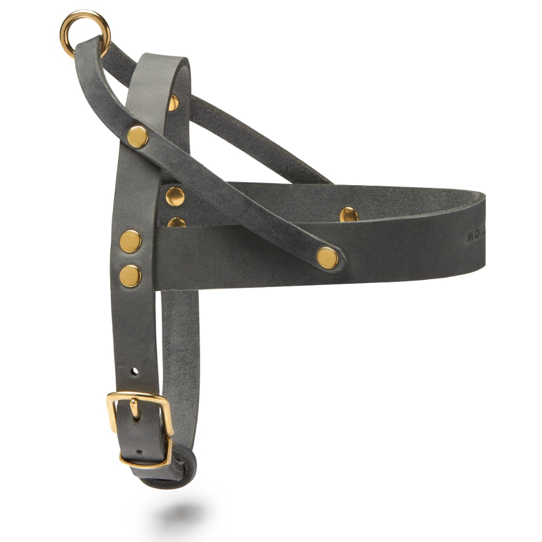Butter Leder Hundegeschirr - Zeitlos Grau