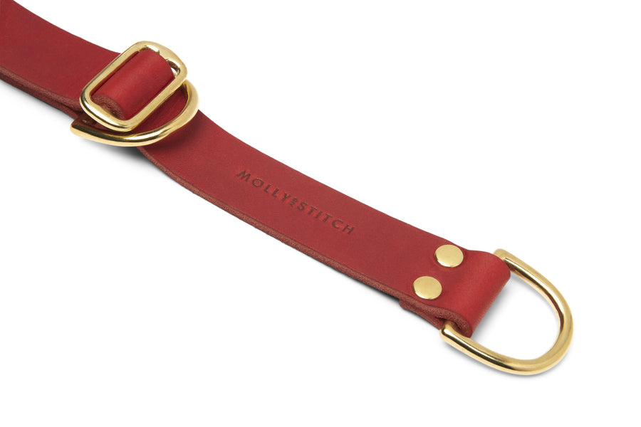 Butter Leather Retriever Dog Collar - Chili Red - Molly and Stitch GmbH
