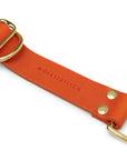 Butter Leather Retriever Dog Collar - Mango - Molly and Stitch GmbH