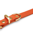 Butter Leather Dog Collar - Mango - Molly and Stitch GmbH