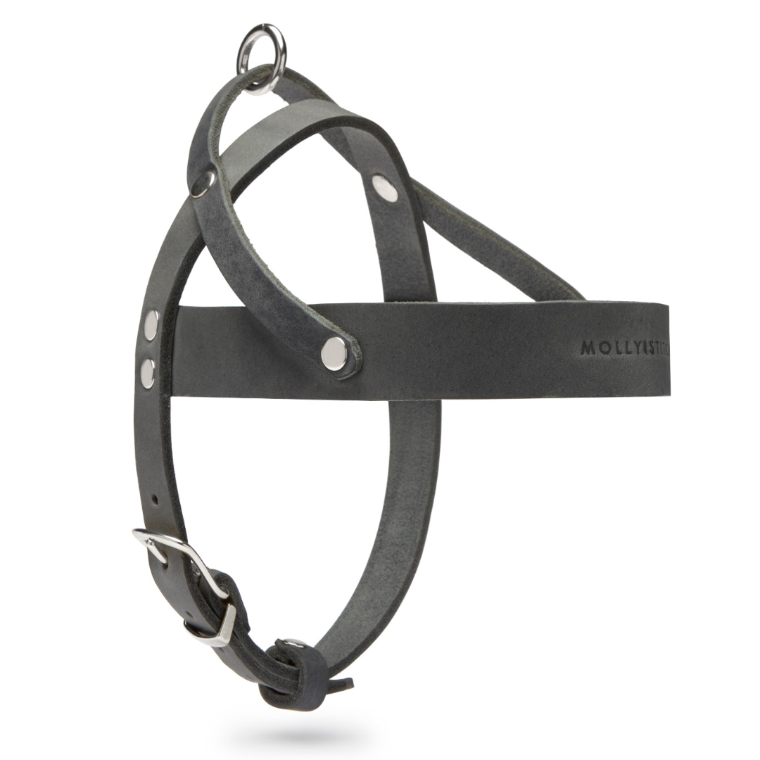 Butter Leder Hundegeschirr - Zeitlos Grau