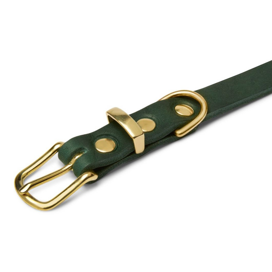 Butter Leather Dog Collar - Forest Green