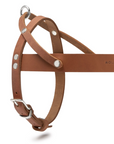 Butter Leather Dog Harness - Sahara Cognac