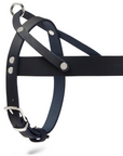Butter Leder Hundegeschirr - Navy Blau