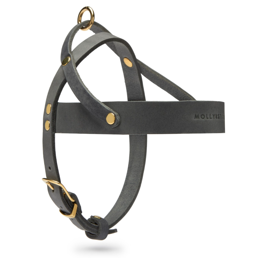 Butter Leder Hundegeschirr - Zeitlos Grau