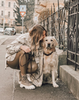 Butter Leather City Dog Leash - Classic Brown