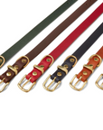 Butter Leather Dog Collar - Forest Green