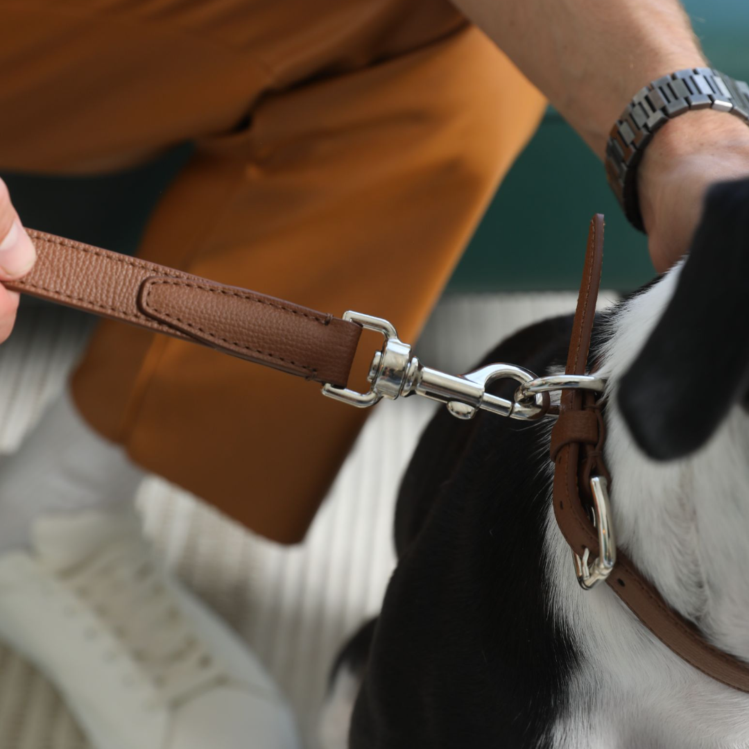 Tuscan Halsband - Chestnut