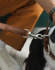 Tuscan Collar - Chestnut