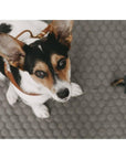 HONEYCOMB DOG TRAVEL MAT - Molly and Stitch GmbH