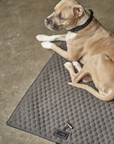 Honeycomb Dog Travel Mat - Grey