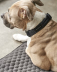 Honeycomb Dog Travel Mat - Grey