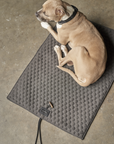 Honeycomb Dog Travel Mat - Grey