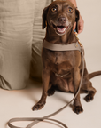 Butter Leather City Dog Leash - Taupe