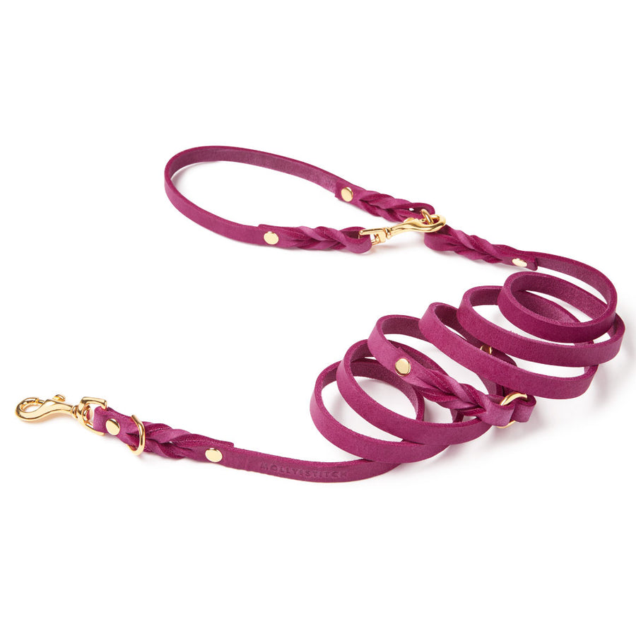 Butter Leather 3x Adjustable Dog Leash - Flamingo