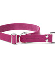 Butter Leather Retriever Dog Collar - Flamingo