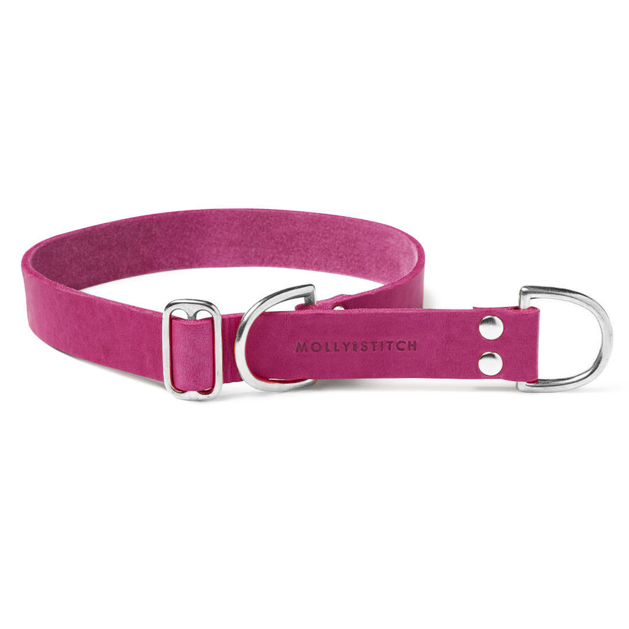 Butter Leather Retriever Dog Collar - Flamingo