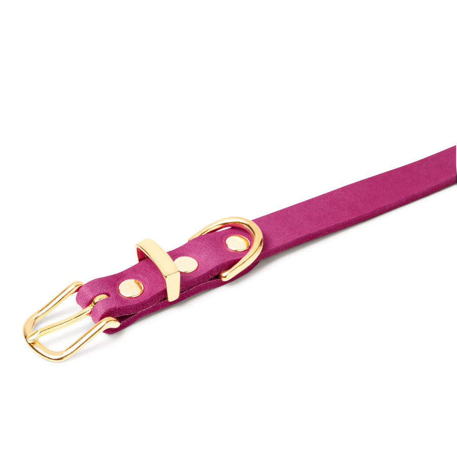 Butter Leather Dog Collar - Flamingo